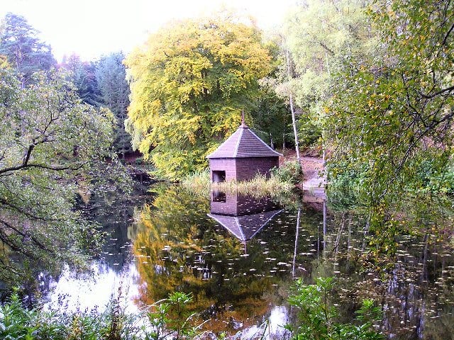 things to do in Pitlochry 13 - Faskally Woods