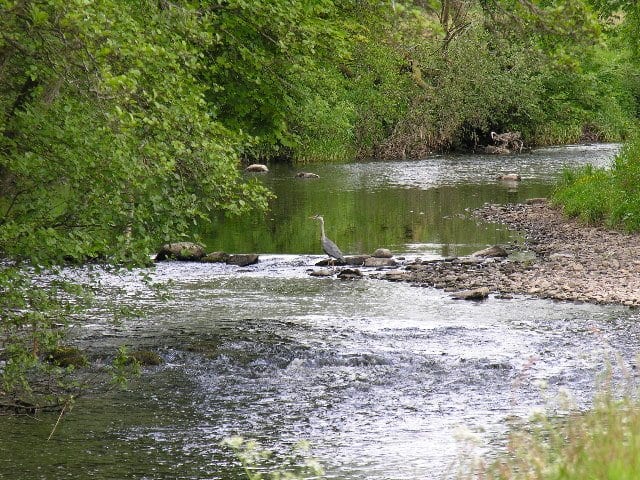The River Endrick
