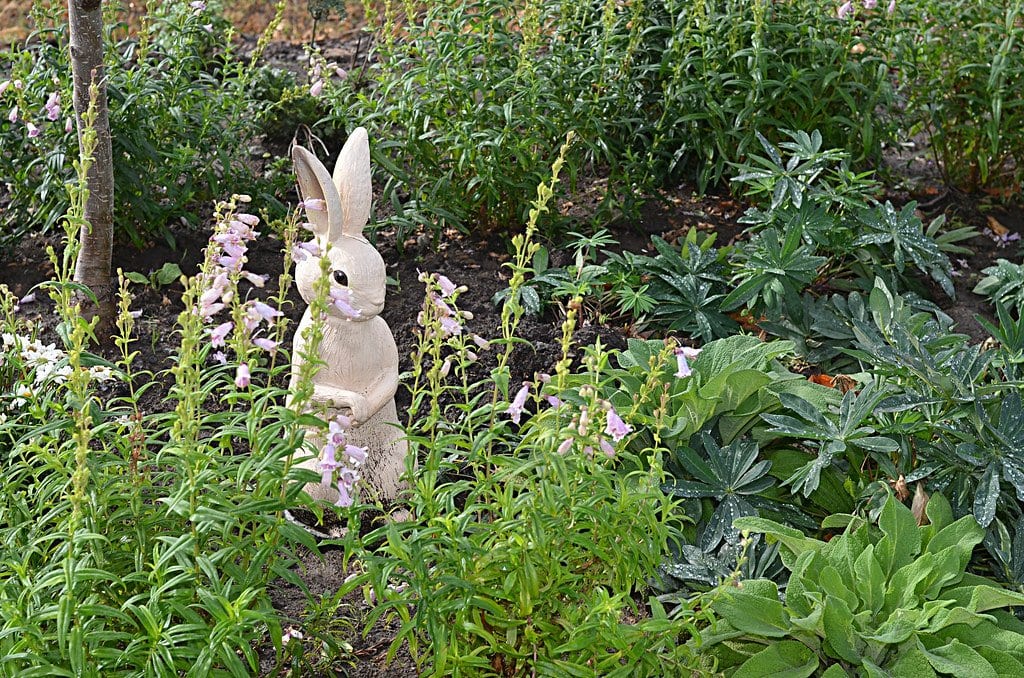 Beatrix Potter Exhibition Gardens: things to do in Dunkeld