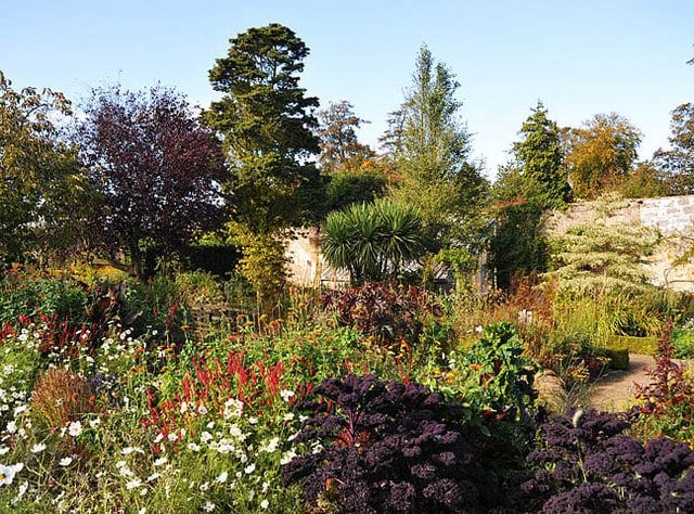 things to do in st andrews - Cambo Gardens