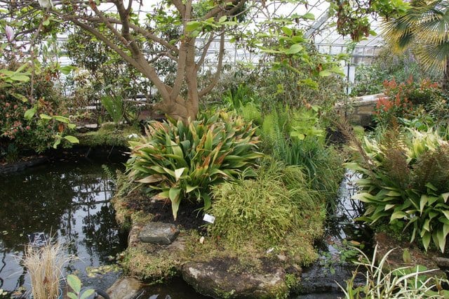 Botanical Garden in St Andrews