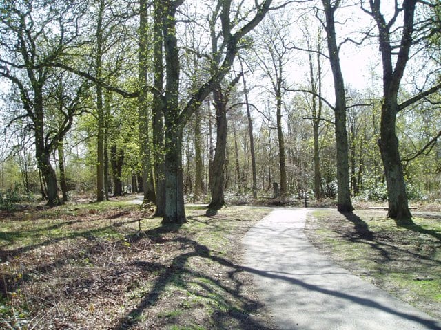 Plean Country Park