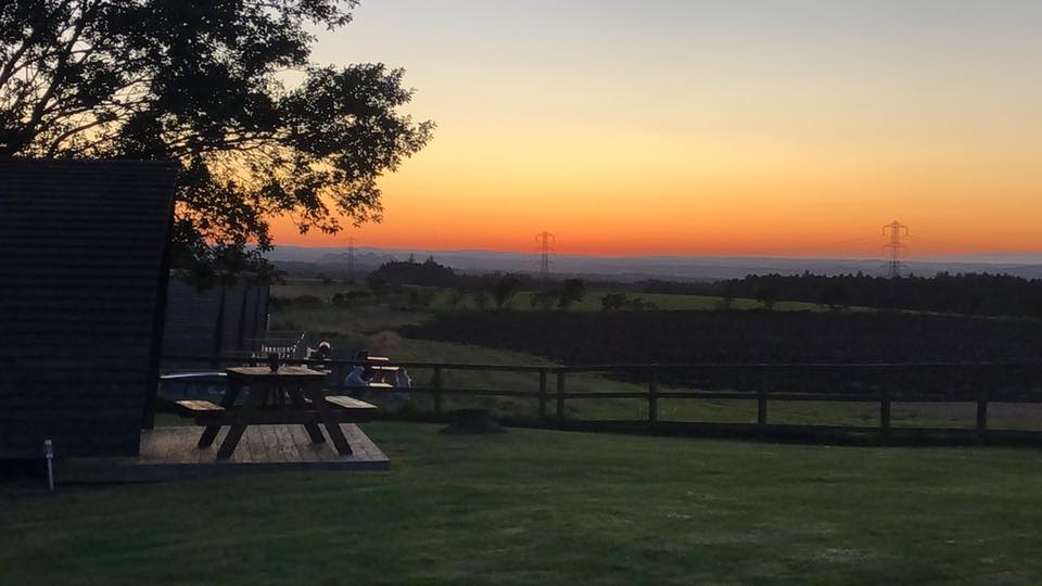 Hilly Cow Wigwams
