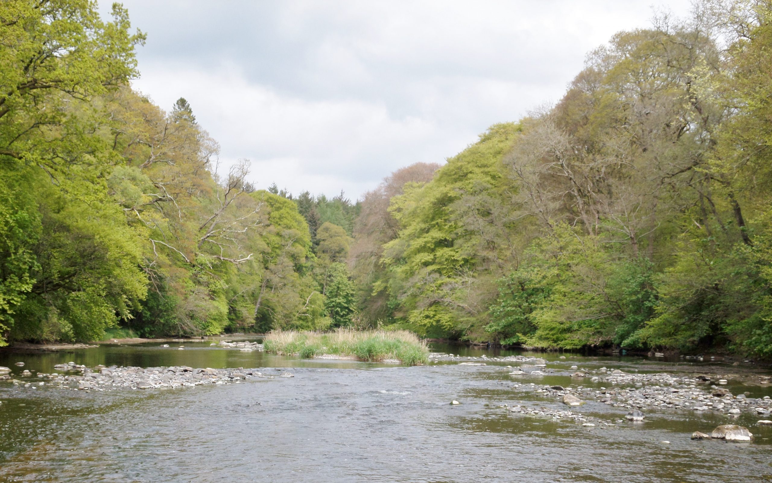 Ayr Camping