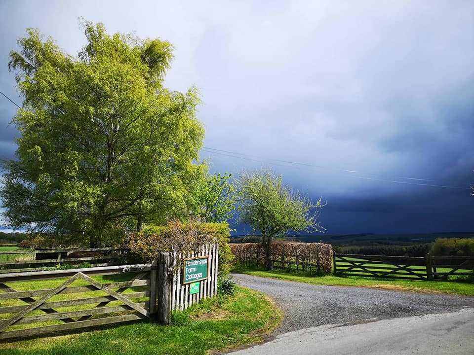 Hendersyde Holiday Cottages