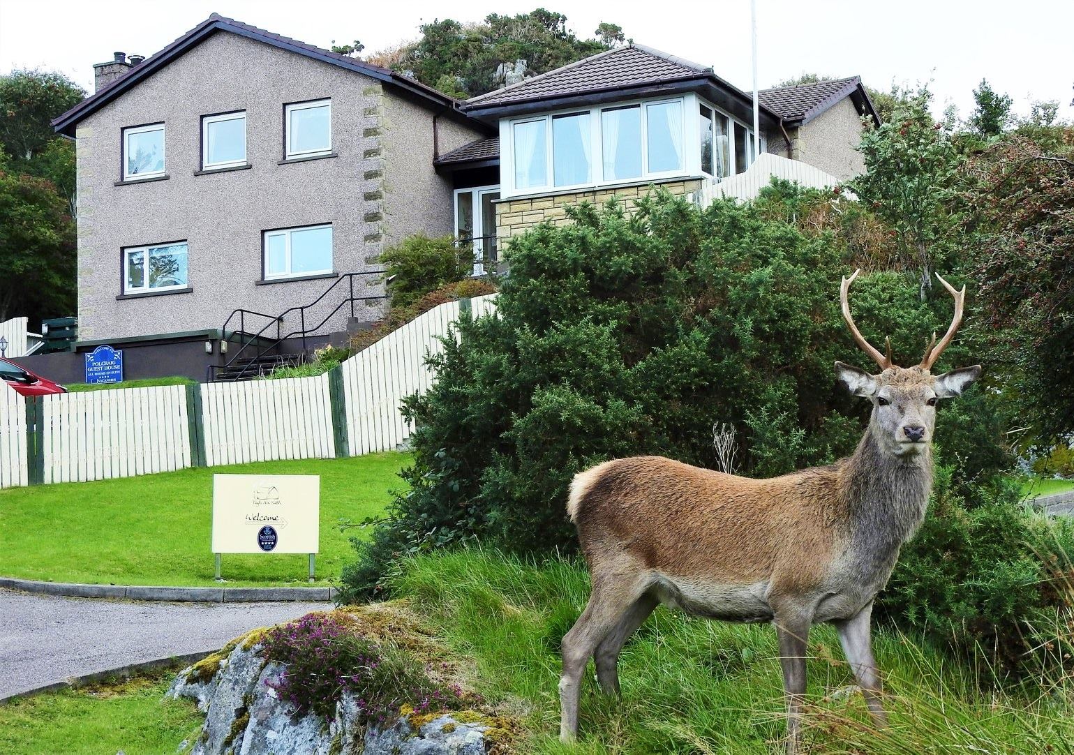Polcraig Guest House