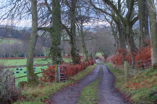 Biggar Campsite