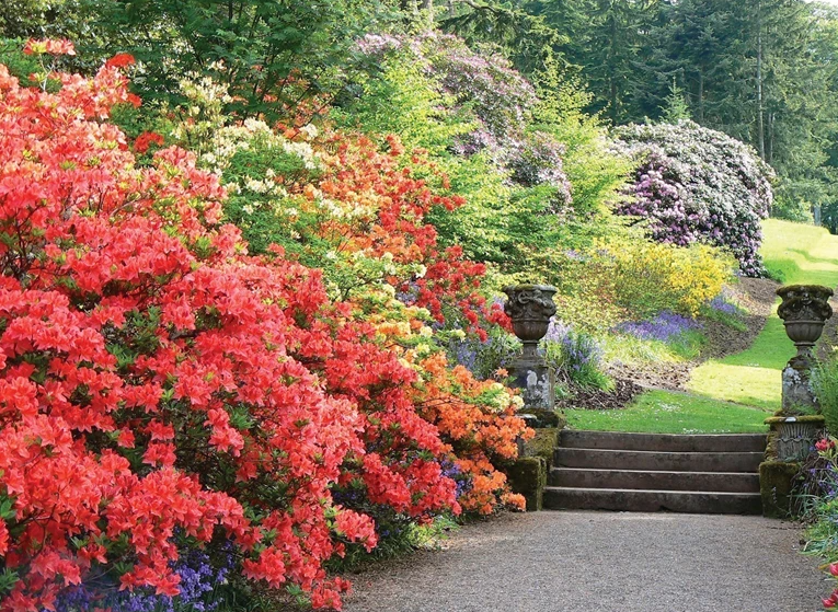 Daywick Botanical Gardens